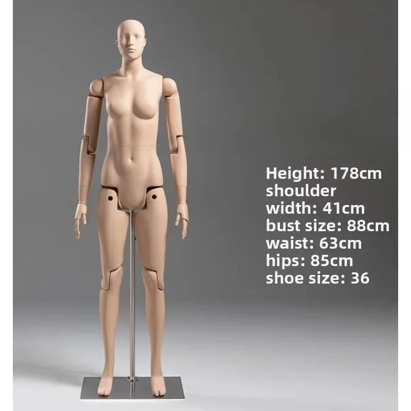 عارضة أزياء خشبية مفصلية على شكل فنان بلاستيكي للبالغين