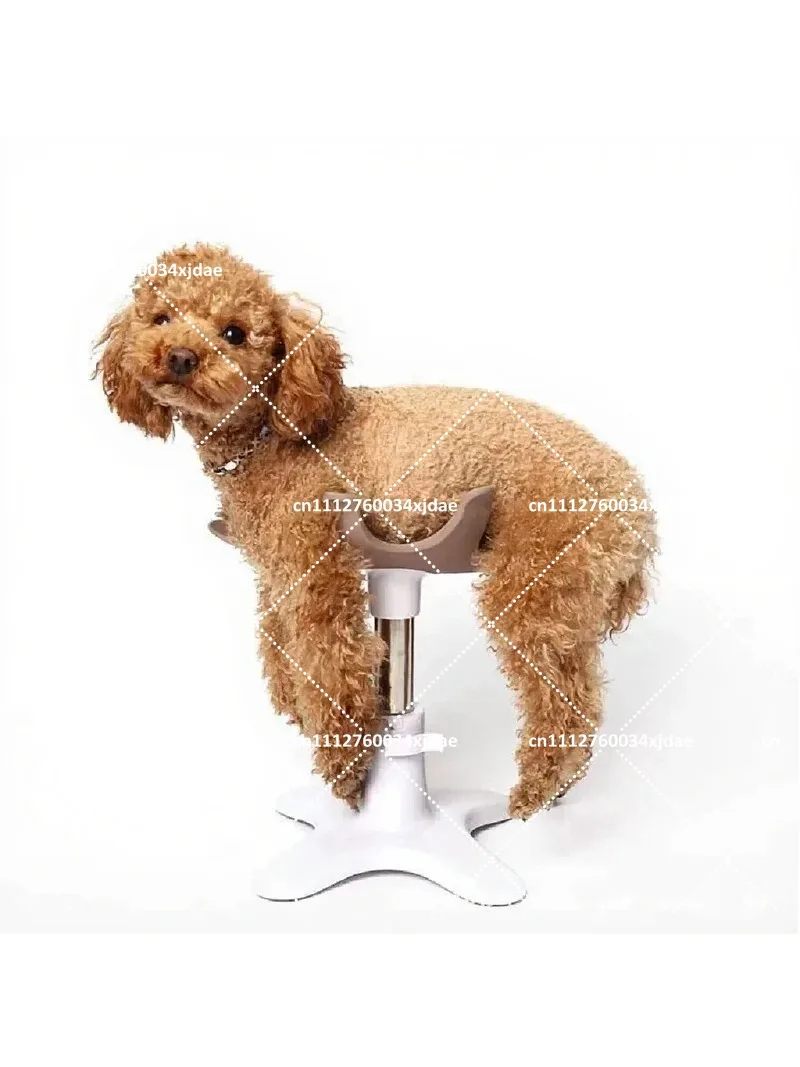 Dog Cat Bathing Grooming Stand Adjustable Blow Dryer Holder Floor Standing Base Rack