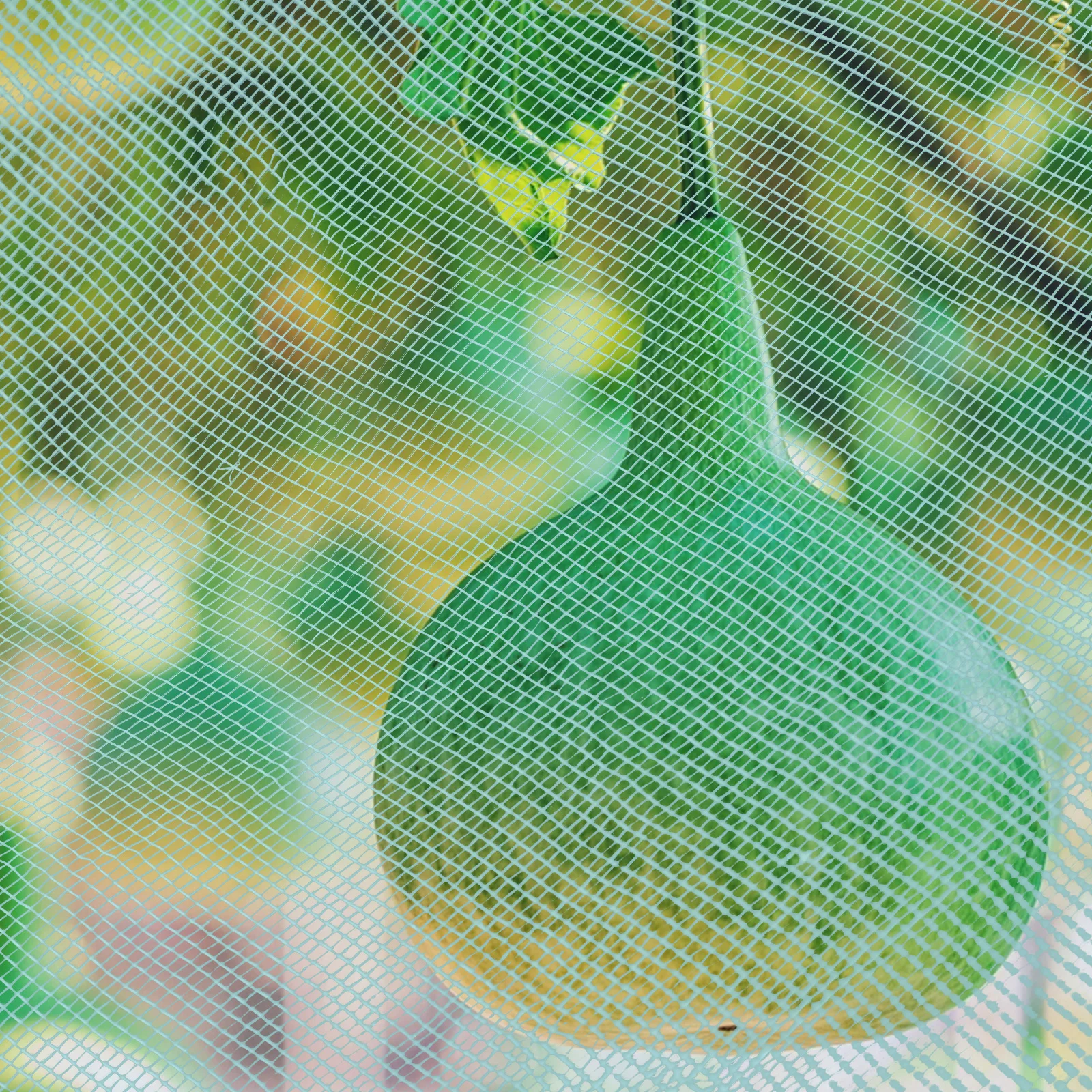 

Aesthetic And Practical Green Garden Mesh Netting For Comprehensive Protection Of Your Garden And Greenhouse
