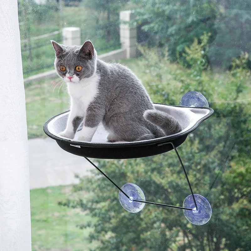 

Four Seasons Pet Supplies Cat Litter Cat Hammock Cat Bed Suction Cup Type Hanging Litter Window Glass Hanging EVA Cat House