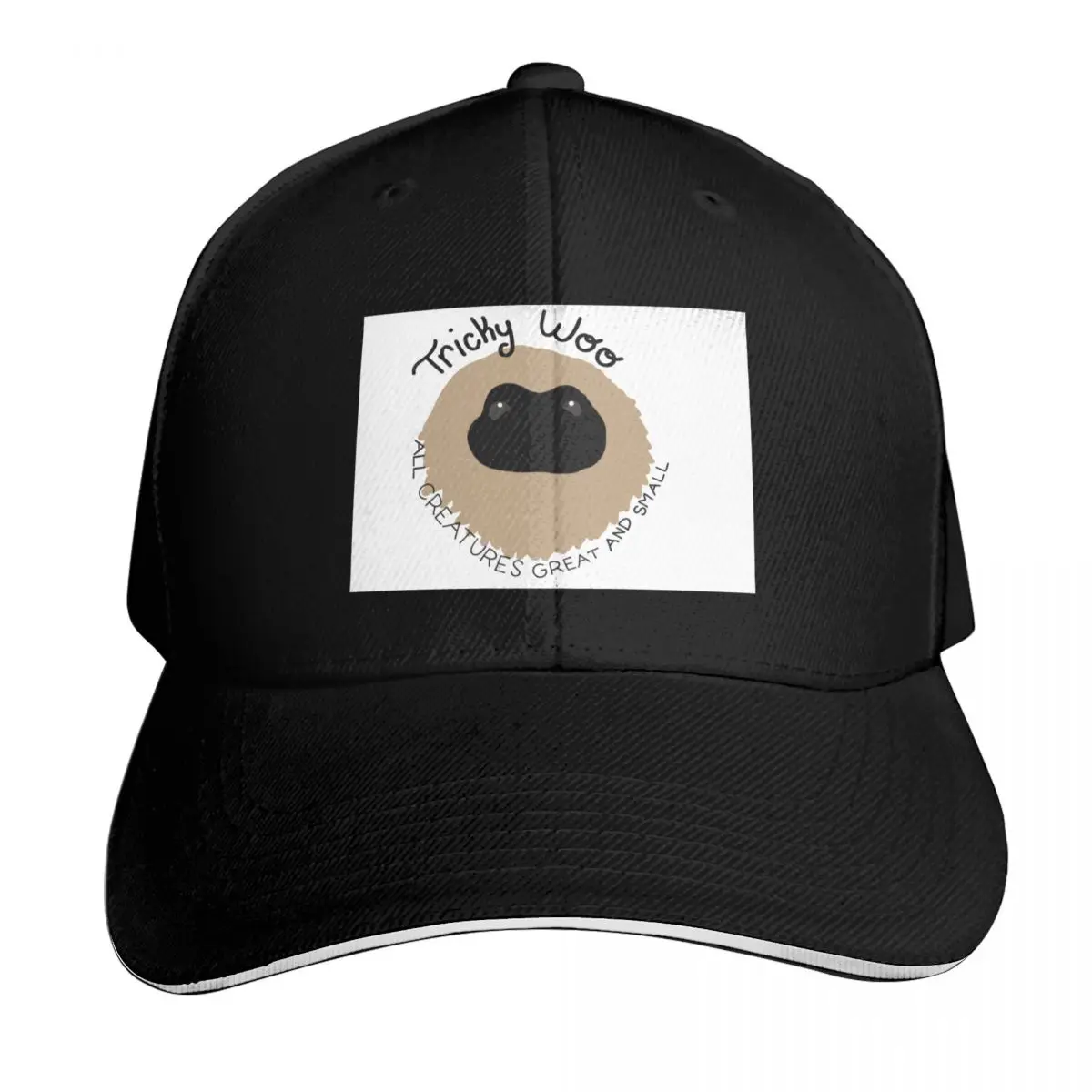 tricky woo Baseball Cap Contrast Two Tone Brim Snapback Flat Bill Strapback Dad Hat