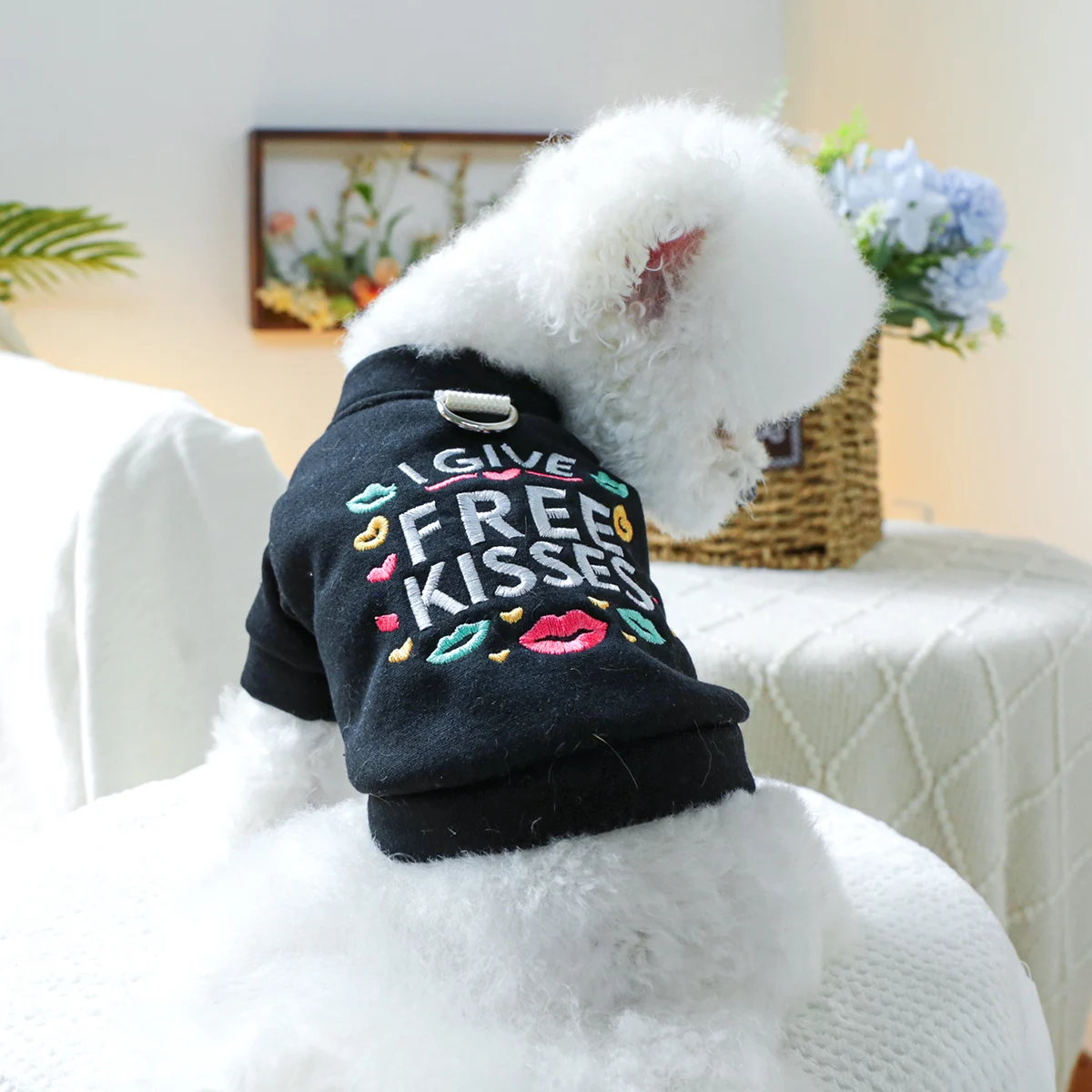 1PC pet clothing dog spring and autumn black velvet kiss jacket traction deduction suitable for small and medium -sized dogs