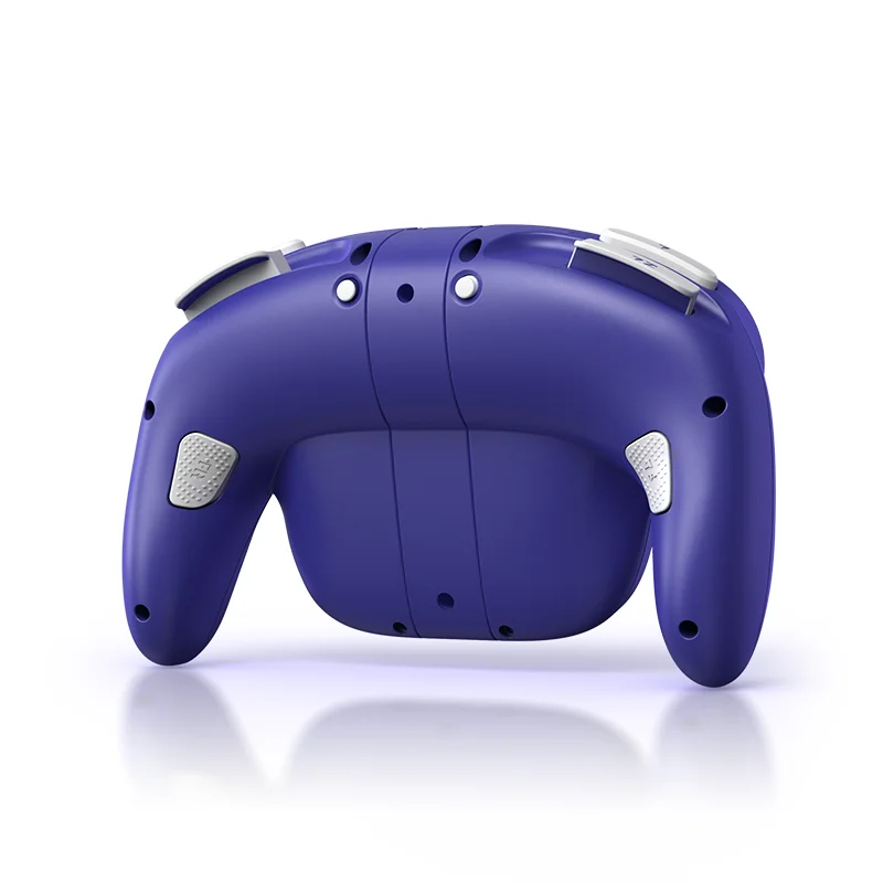 Obrázek 5: NYXI čaroděj bezdrátový joy-pad pro switch/switch OLED