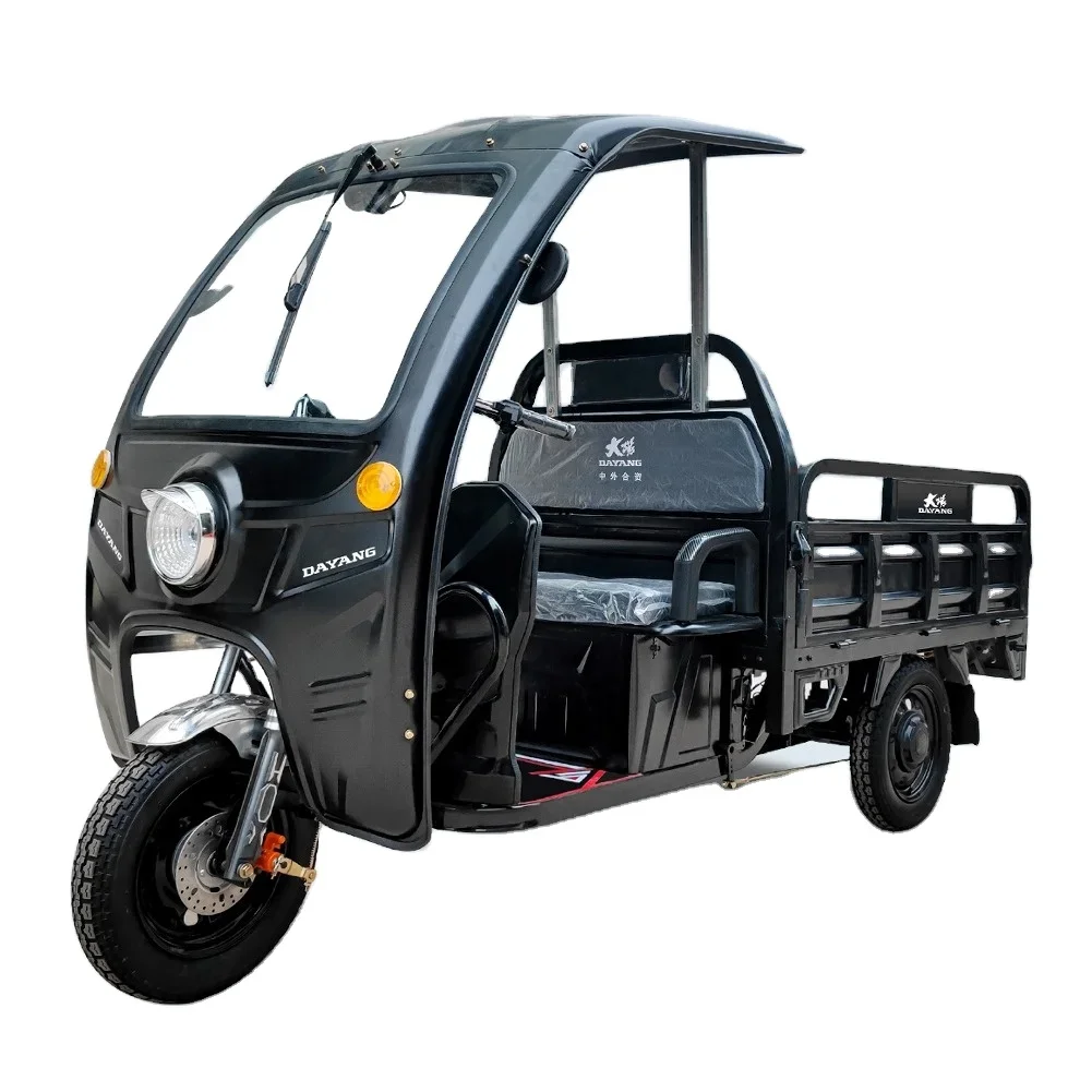 DAYANG Cheaper Strong Power 60v 1500w tricycles 3 Wheel Passenger Electric Adult cargo Rickshaw