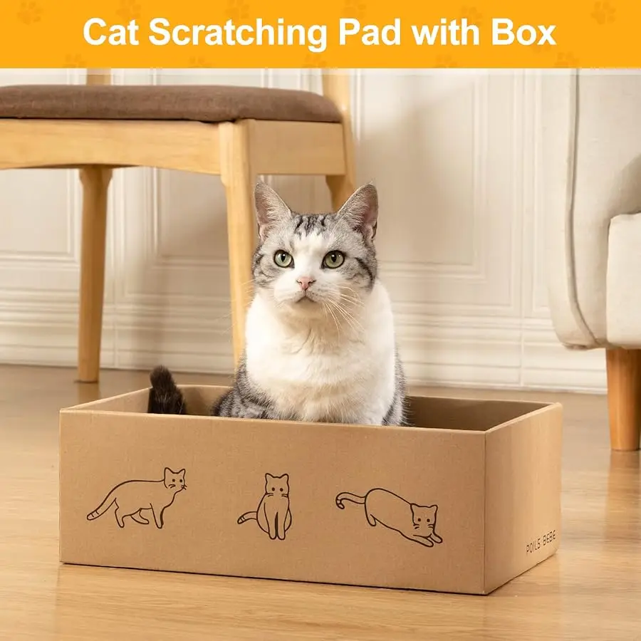 5 قطع من أدوات خدش القطط مع صندوق من Poils bebe، أدوات خدش قطط قابلة للعكس للقطط الداخلية، أداة خدش للقطط من الورق المقوى مع النعناع البري، 2 منحنى #3