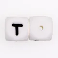 10pcs T
