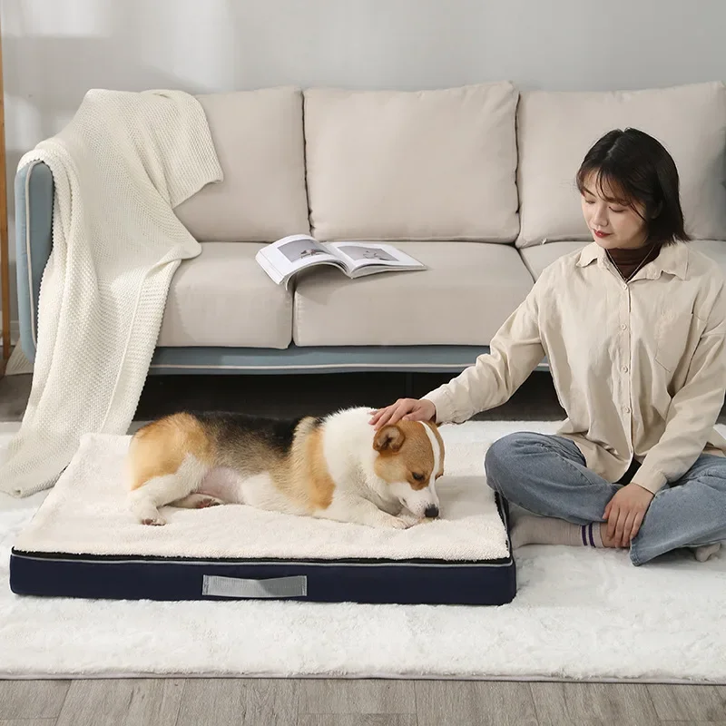 Thumbnail 4 - #41 Most Popular Orthopaedic Dog Beds