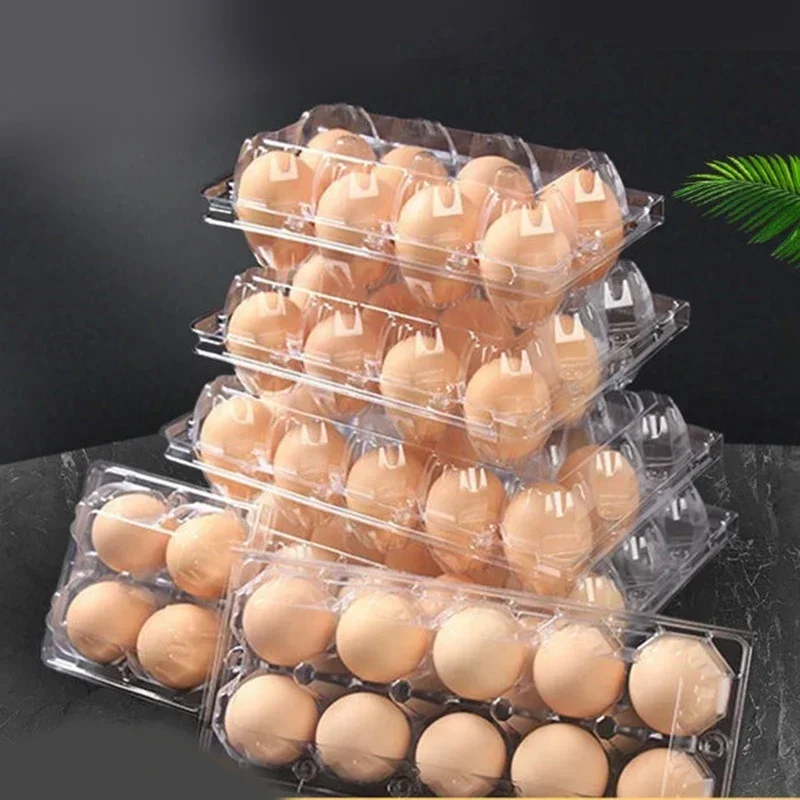 PET Transparent Egg Tray Plastic Disposable Separate Anti Collision Measures Storage Box Supermarket Shop Egg Portable Package