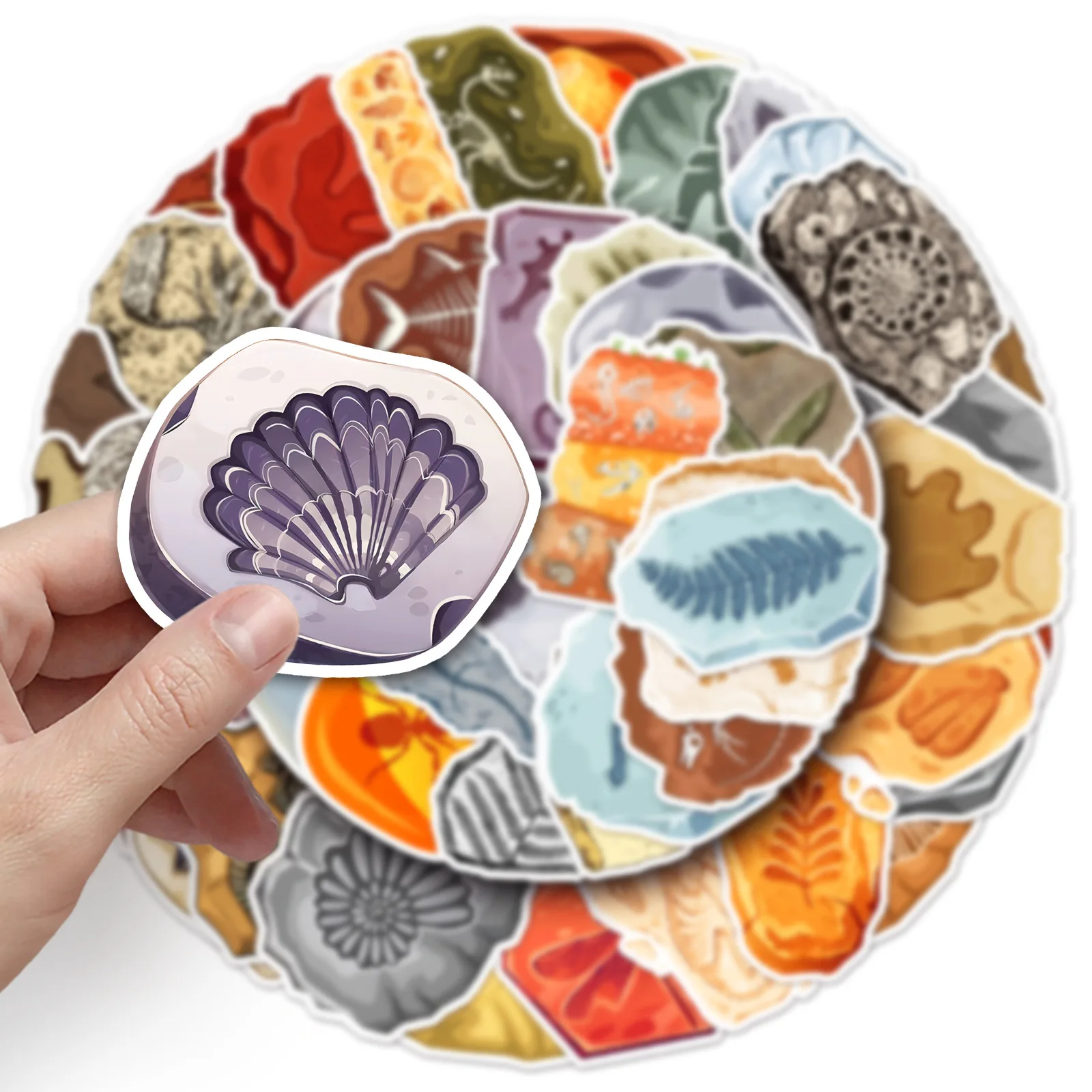 10/50PCS Ammonite Fossil Three-leaf Stone Graffiti Decorative Water Cup Guitar Laptop Waterproof Sticker Kids Toy