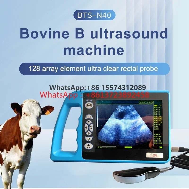 

portable handle digital B ultrasound machine for animals cattle dog 8 inch LED screen medical equipment veterinary