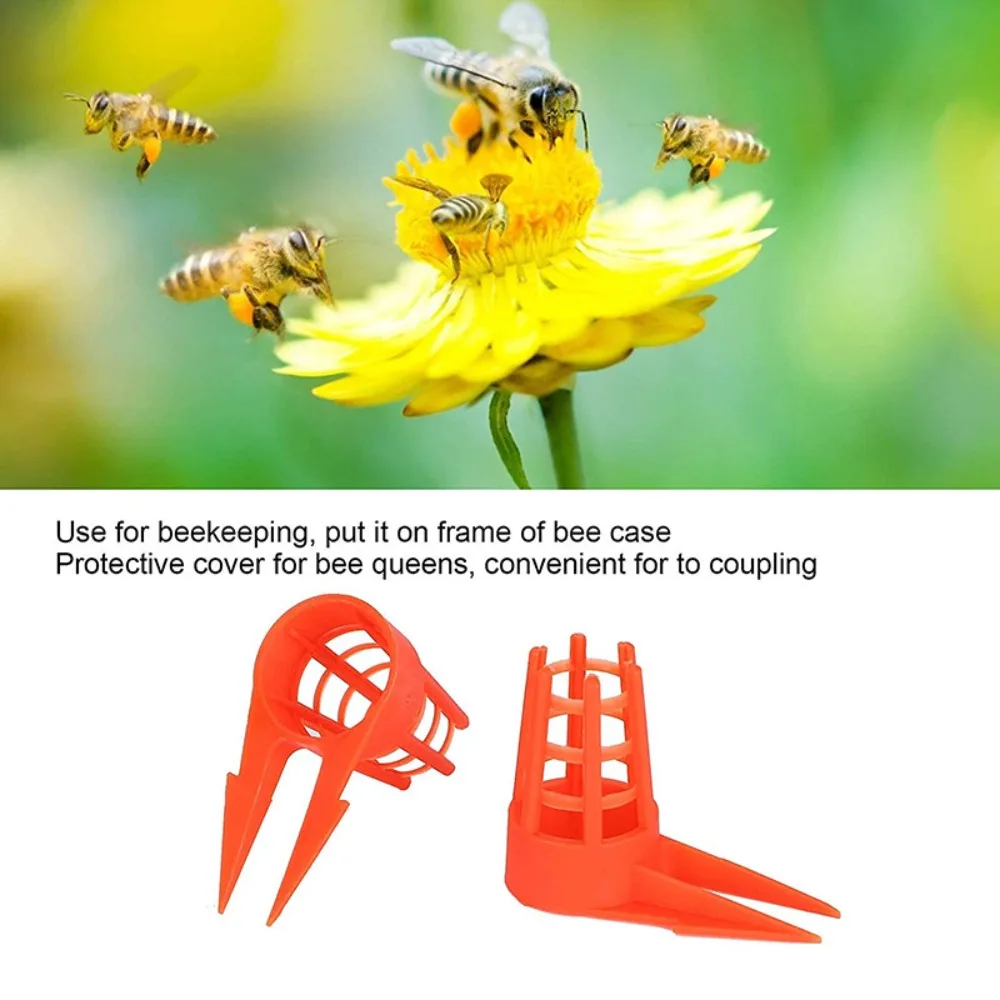 20pcs Safe Professional Beekeeping Cage Covers Protective Anti-bite Bee Queen Caps Queen Cell Plastic Beekeeping Tools