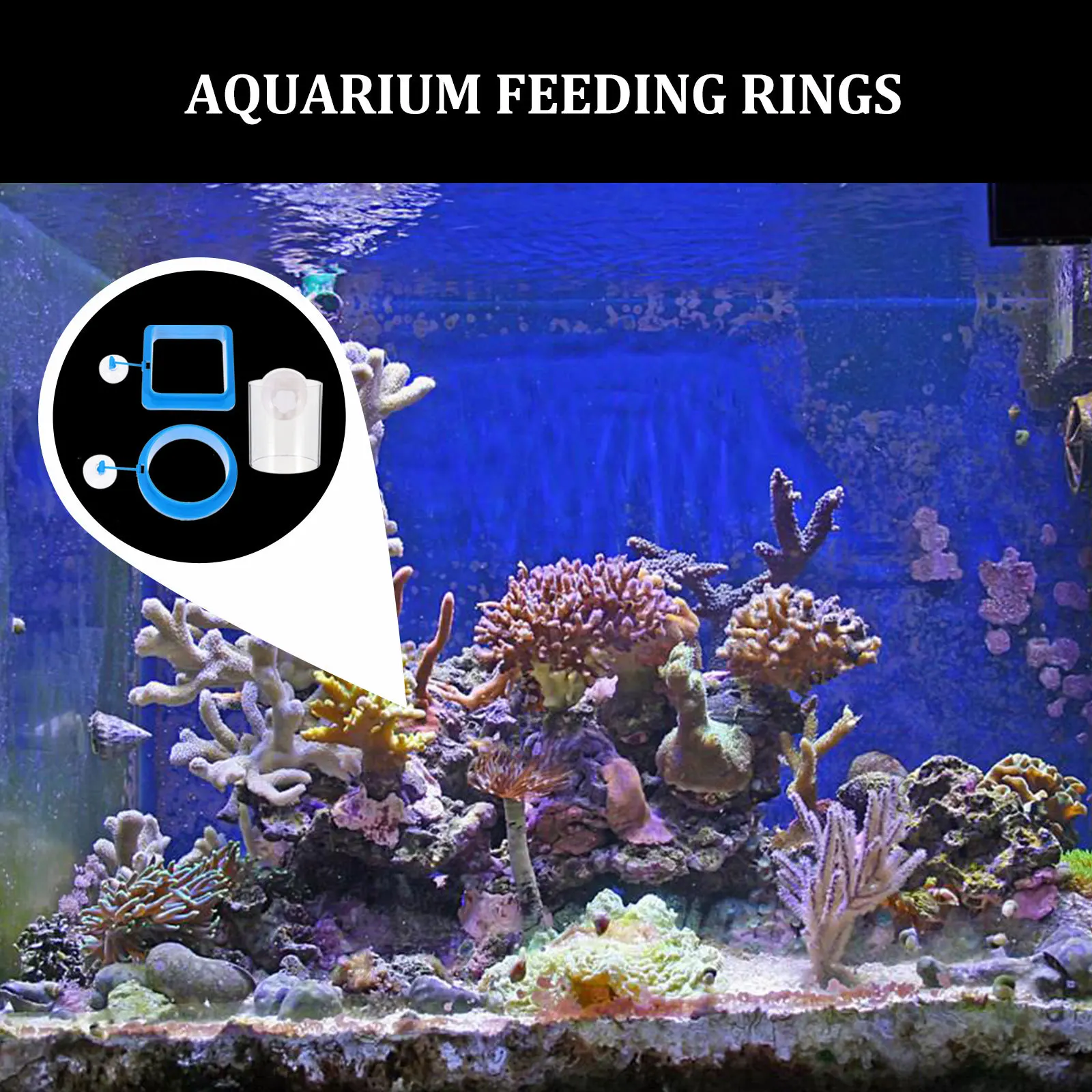 

3Pcs Floating Fish Feeder Ring Safe Acrylic Aquarium Feeding Circle for Shrimp and Betta Tanks Wear Resistant Feeding Accessory