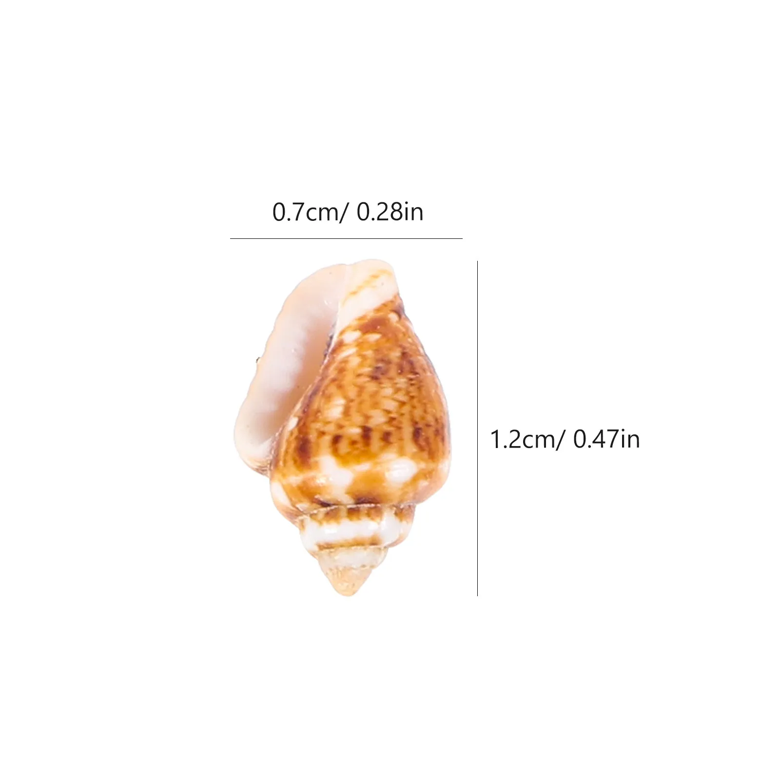 1 Box Decorative Natural Conch Mini Seashells for DIY Aquarium Fish Tank Ornament Craft Decor DIY Conch Decoration