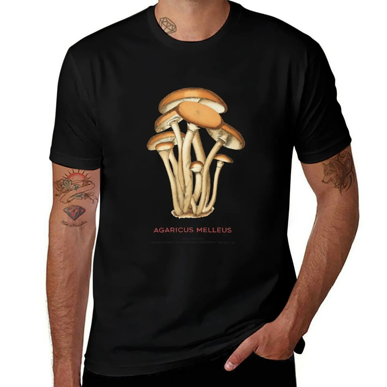 

Honey fungus or Agaricus melleus T-Shirt kawaii clothes Luxury man Anime t-shirt tee shirts for men