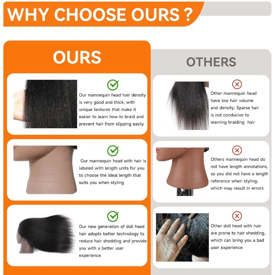 رأس عارضة أزياء احترافية مقاس 14 بوصة مع 100 شعر بشري حقيقي لتدريبات الصالونات وتضفير وتدريبات القطع مجانًا