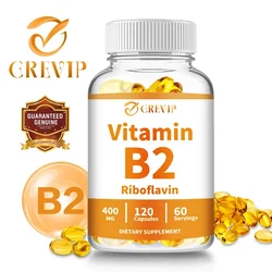 Vitamin B2 - Enhances Immunity, Relieves Fatigue, Promotes Digestion