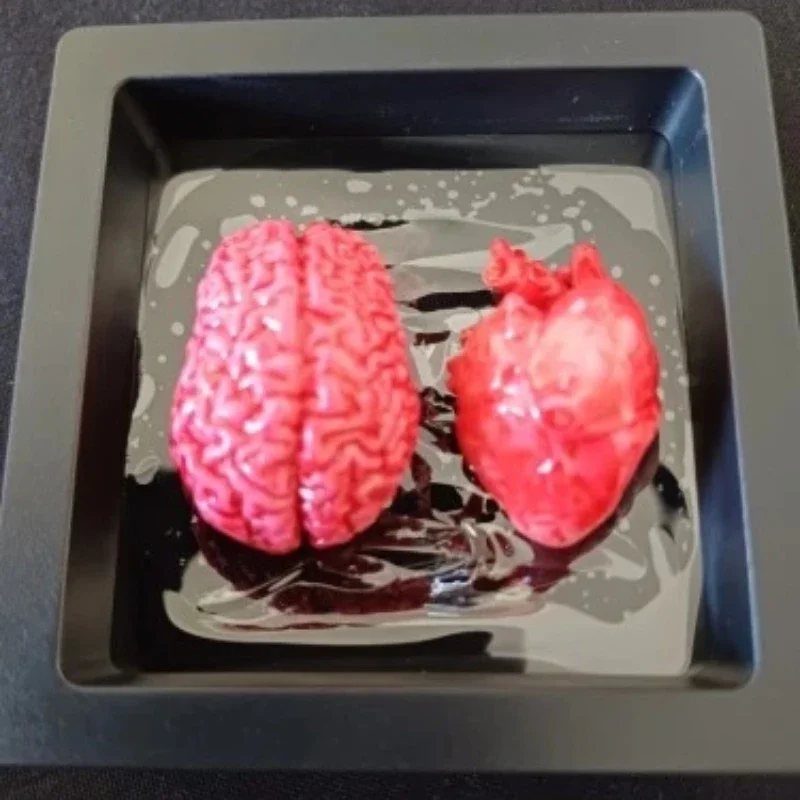 Miniature Resin Anatomical Heart Brain Model Glass Jar Specimen Ornament Simulation Organ Desk Decor Gift