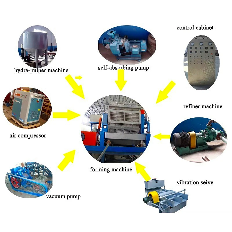 High Capacity Making Egg Machine Economic Egg Tray Machine Low Investment High Return  Recycling Paper Waste Customized Sale