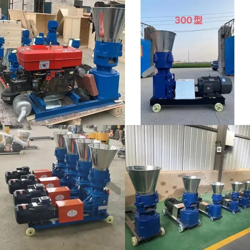 Automatic Diesel Feed Pellet Machine 1 Ton Per Hour High Productivity Agricultural ISO 9000 Certified Brand New 1 Year