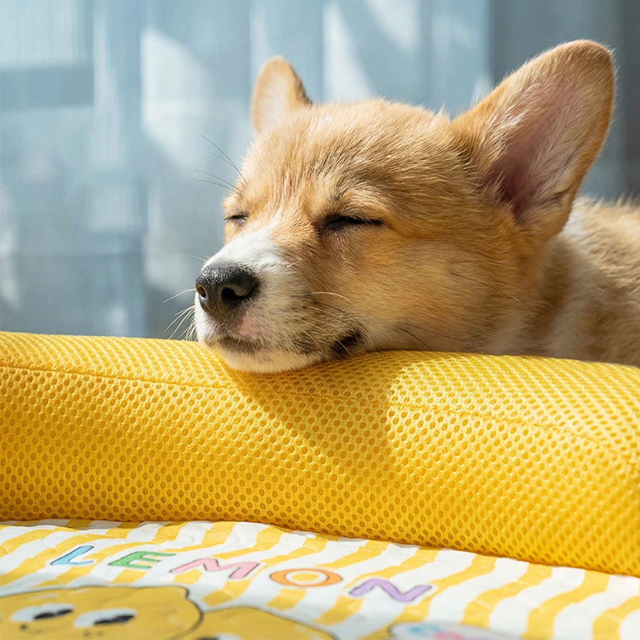 Cama fresca para gatos y perros pequeños y medianos, lavable y transpirable - imagen 5
