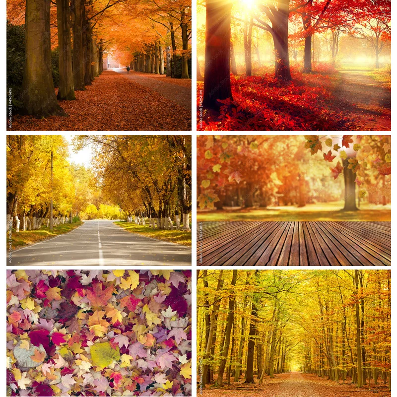 SHENGYONGBAO Natural Scenery Photography Background Fall Leaves Forest Landscape Photo Backdrops Studio Props QQTT-01