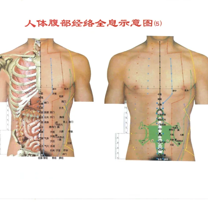 Chinese Medicine Magnetic Therapy Cupping Device Flat Head Qi and Blood Tong Special Tank 27 Cans Aluminum Alloy Hardcover