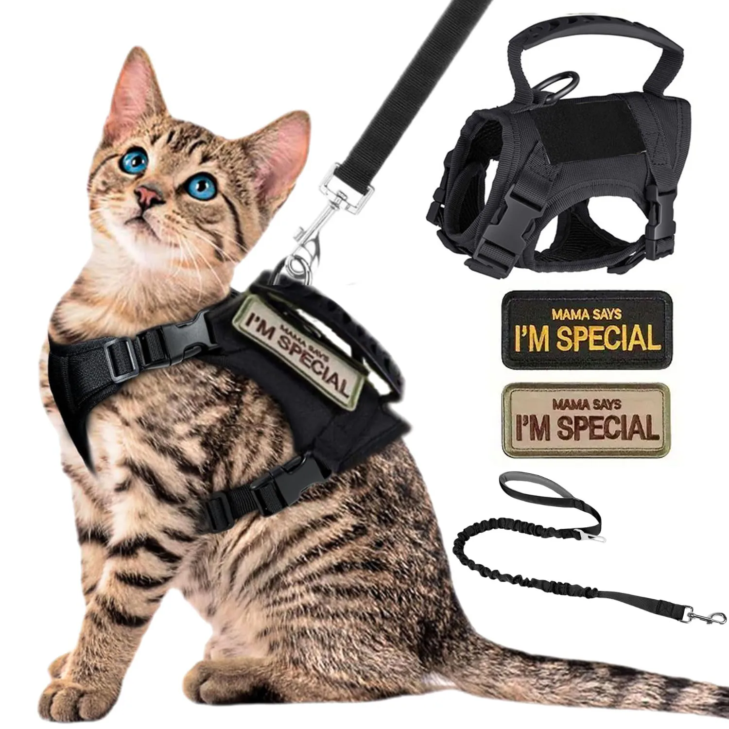 600D Tactical Cat Vest Adjustable Chest Harness for Puppy Small Dog with 2 Patches and Leash Outdoor Training Vest