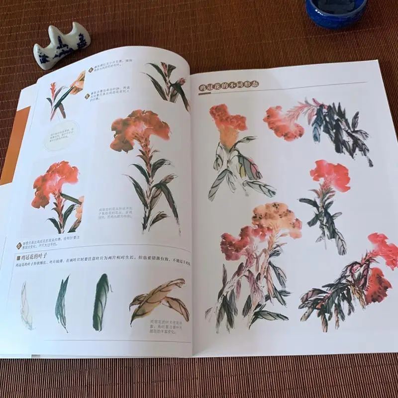 Traditional Chinese Painting Basic Tutorial Book Flower Bird Fish Insect Freehand Painting Album Introductory Teaching Material