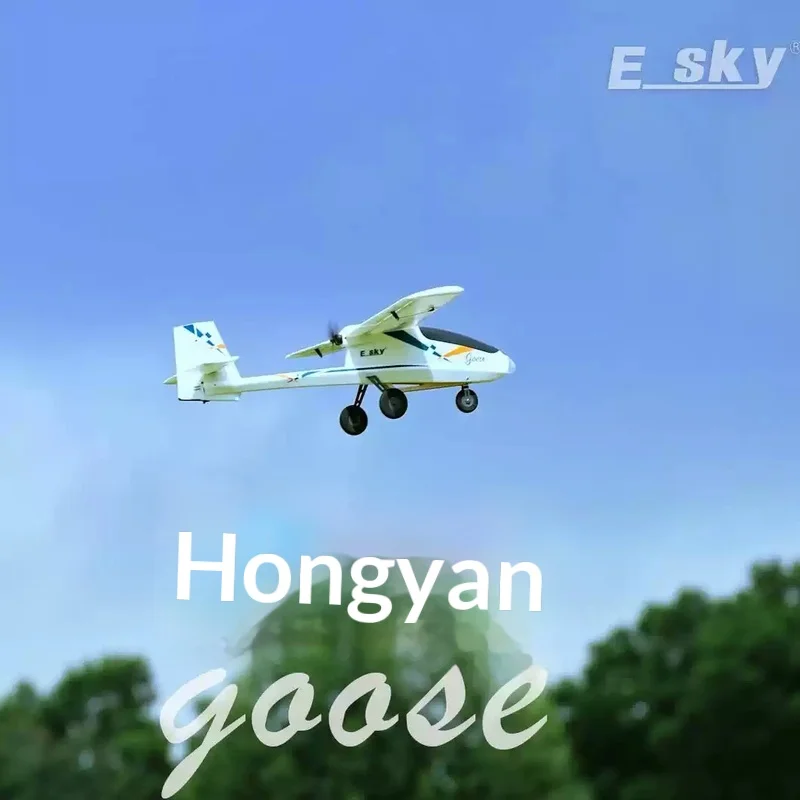 Esky Hongyan Wingspan 1.1m Fixed Wing Helicopter Fpv Remote Controlled Aircraft Easy To Learn And Fly Practice Aircraft
