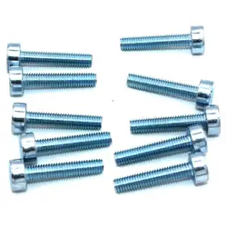 10PKS T27 Torx Bolt M5 x 25 for Stihl Makita Dolmar Oleo-Mac Chainsaw Bruchutter Blower Tiller