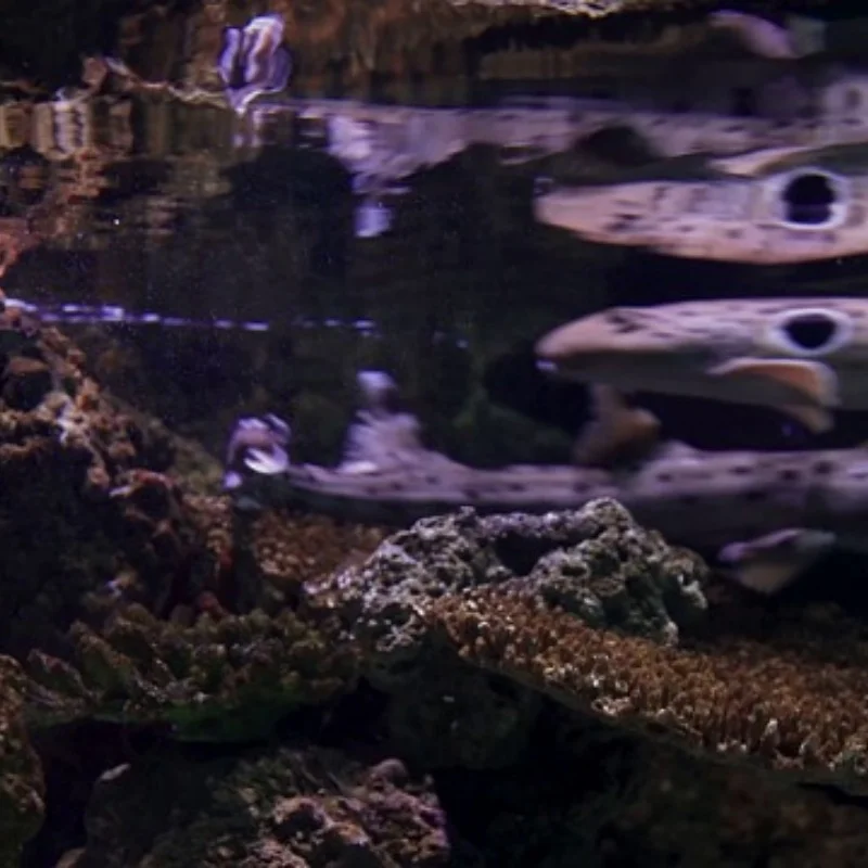 

Для MJX Hyper Go H12Y H12Y + H12P 1/12 RC гусеничные грузовики запасные части колеса/тивороды/шины