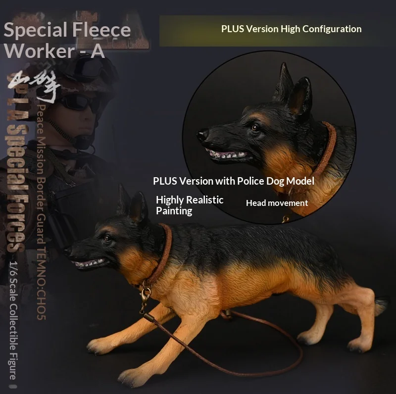 Pattiz Peace Mission Plus Edition 1/6 Scale Chinese Army Articulated Joint Action Figure With Military Dog Collectible Model Set