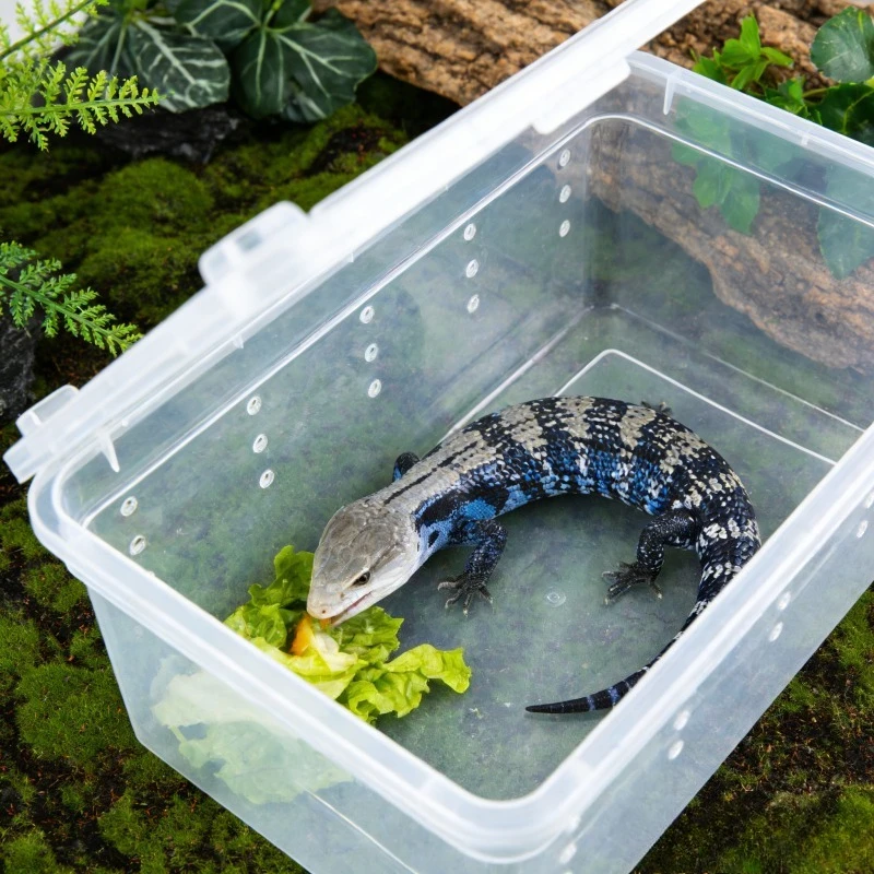 Portable Reptile Breeding Terrarium 2