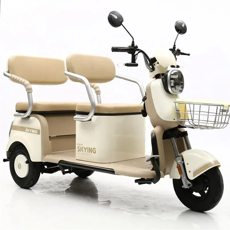 exquisite craftsmanship 500W Electric Three Wheel Electric Motor Adult Two Seat Tricyclele