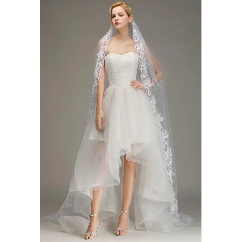 MisShow Cathedral Wedding Long Veils White One-Layer Tulle Floral Lace Appliques Edge Veils With Comb Sheer Wedding Bridal Veils