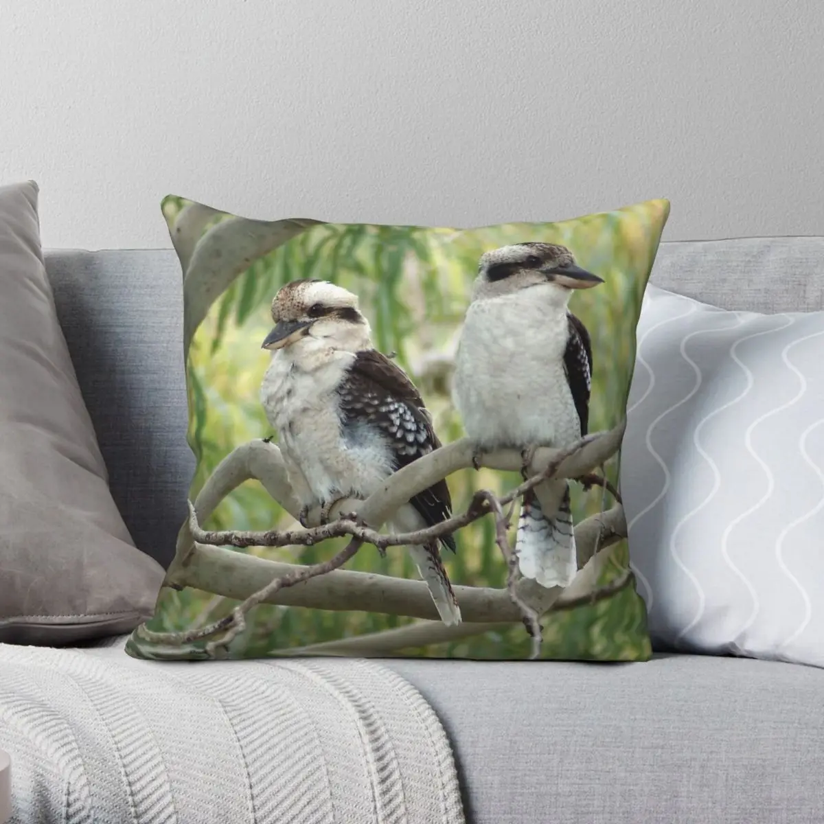 Kookaburra Sits In Gum Tree Square Pillowcase Polyester Linen Velvet Printed Zip Decorative Pillow Case Sofa Cushion Cover