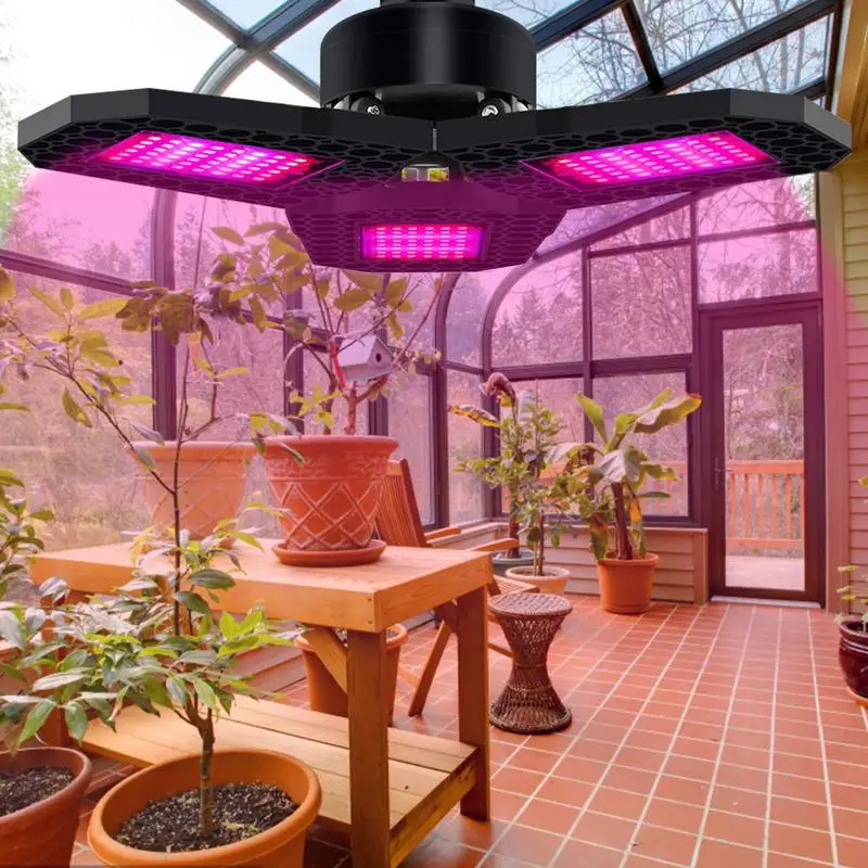 Grow Lights For Indoor Plants Full Spectrum LED Lighting Bulbs Greenhouse Lamp For Plants Growth For Tomatoes Peppers Eggplants