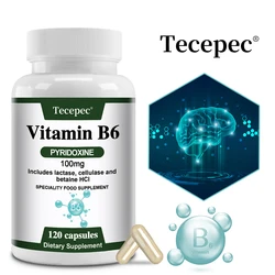 Vitamin B6 Capsules - Brain Function & Memory, Concentration, Cardiovascular, Skin, Hair, Immune, Non-GMO, Dietary Supplement