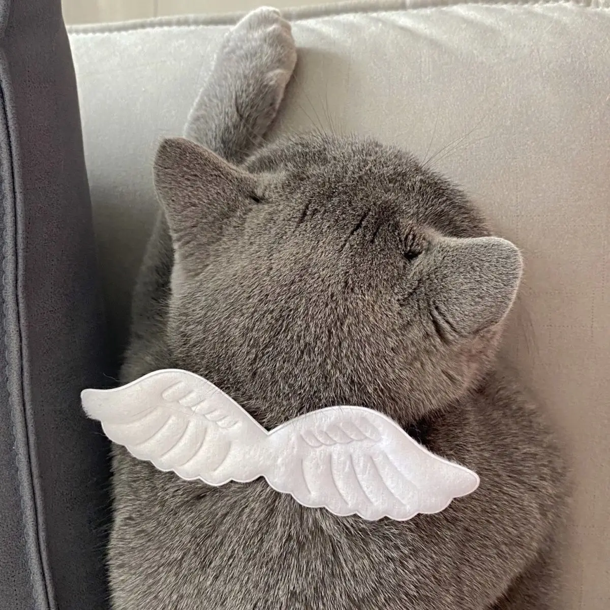 Sweet Plush Angel Wings Pet Collar Adjustable SoftCat&DogNeck Collar For Holiday Cosplay Decor Shooting Photo‑taking Accessories