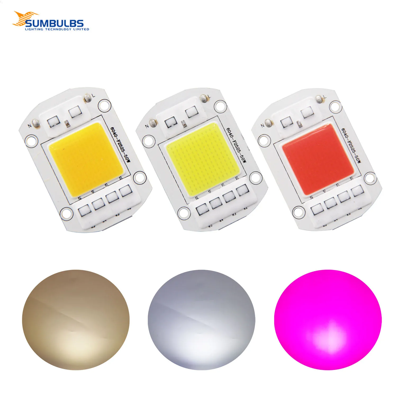 F6040 COB LED Chip 20W 30W 50W AC 220V/110V Integrated LED Module Diode Light Beads for Outdoor Spotlight Garden Flood Light