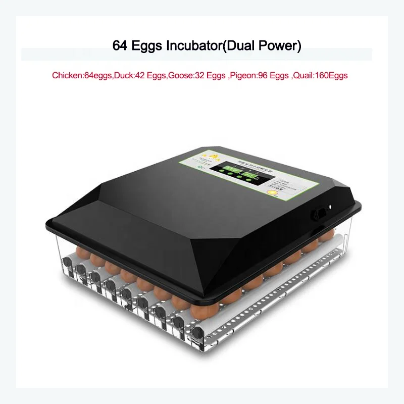 Mini dual power 64 Eggs chicken Broiler pigeon egg incubator automatic brooder incubator for poultry