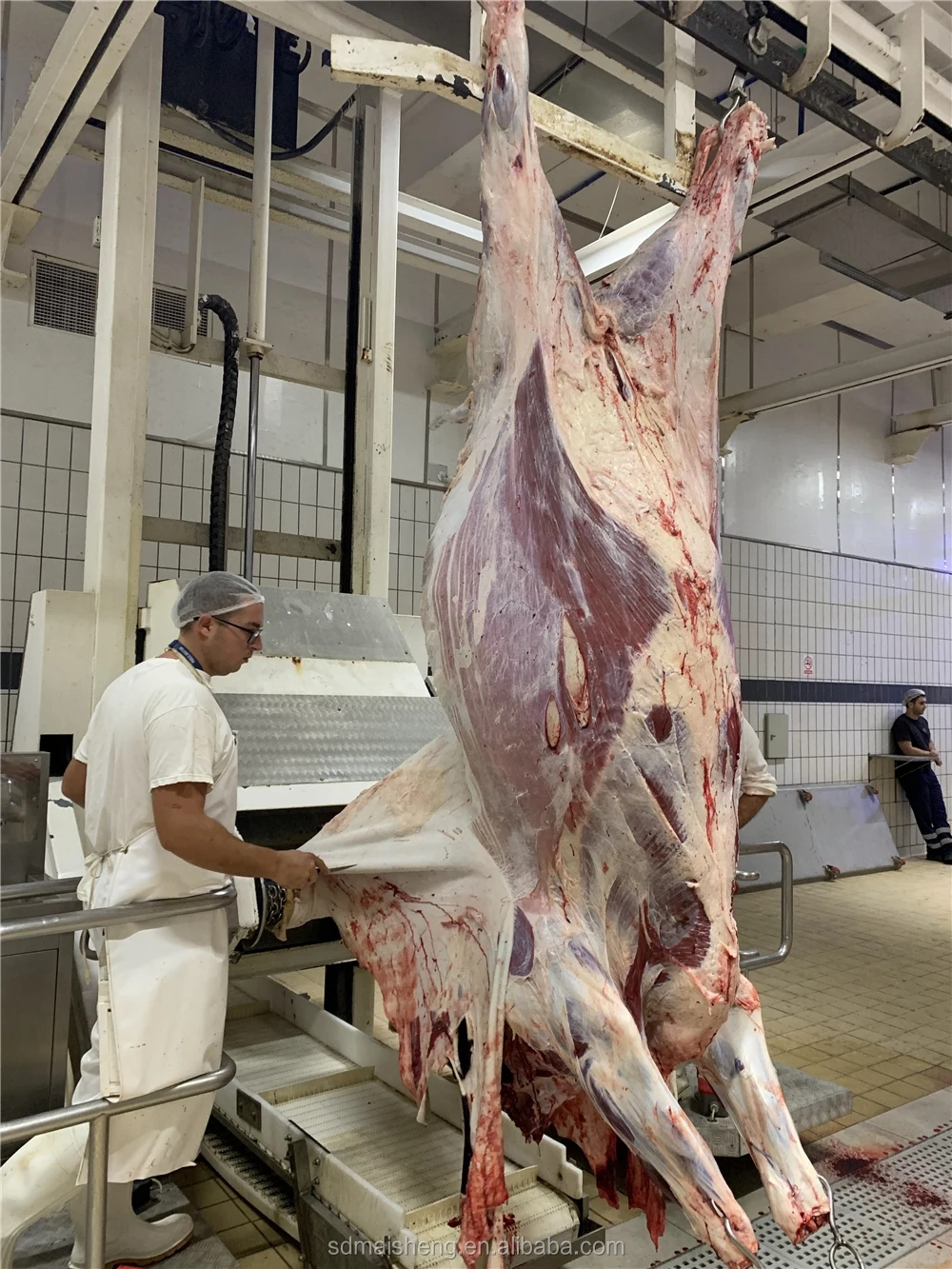 中国工場食肉加工屠殺場豚屠殺場設備プラント枝肉吊り下げコンベアレール豚屠殺機