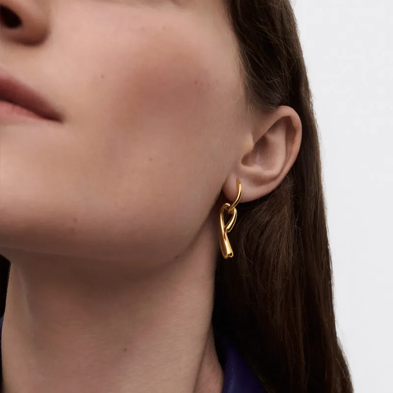 New Fashion Gold Silver Knotted Designer Earrings Woman Europe Jewelry Holiday Gifts 3