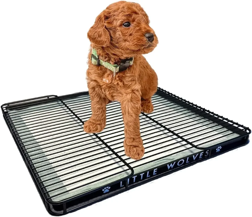 

Little Wolves Puppy Potty Tray Essentials: 22x22 Reusable Heavy-Duty Tray w/Dog Pee Pads, Housebreaking Supplies,