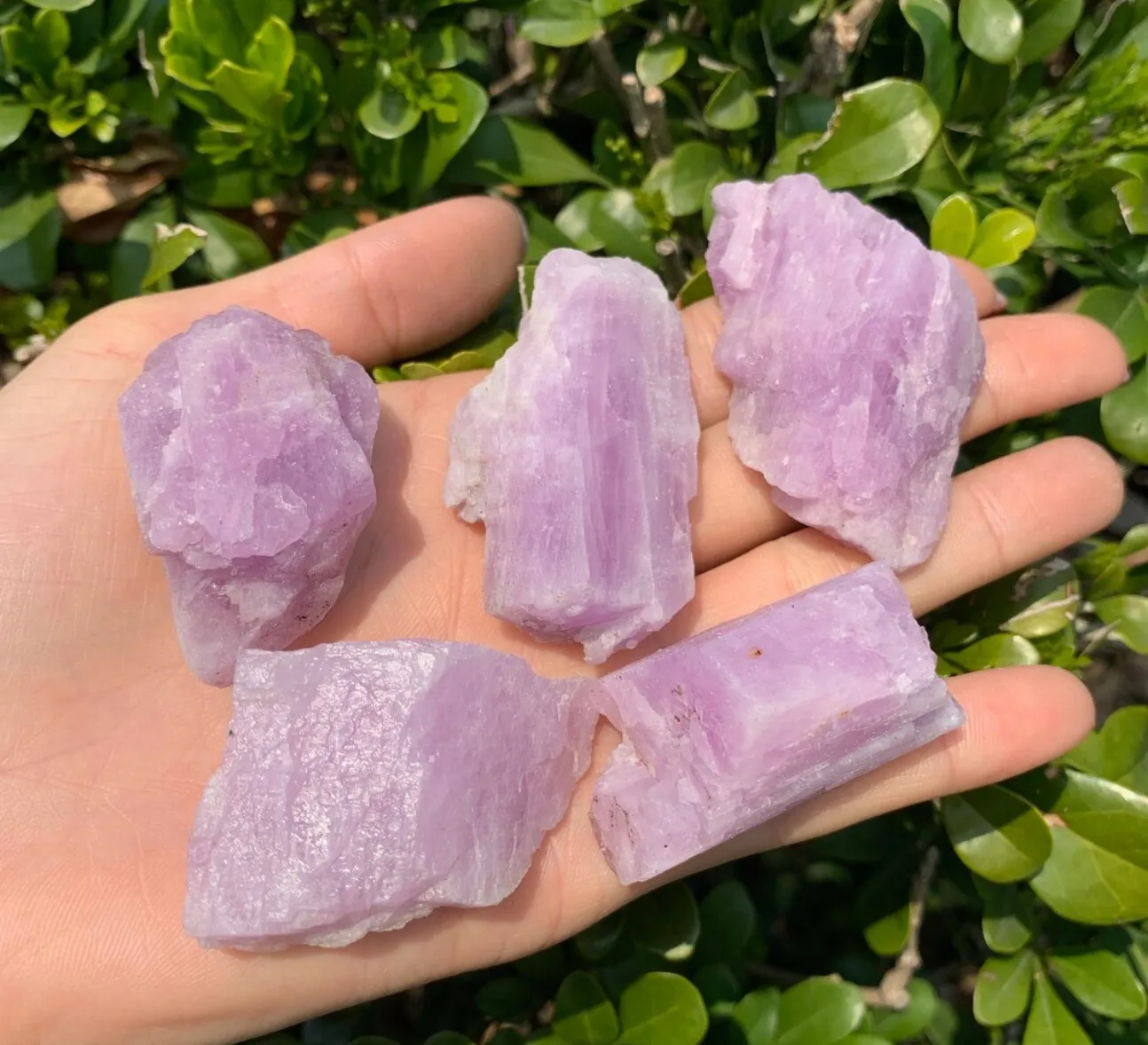 Natural Raw Kunzite Crystal Purple Spodumene Specimen Mineral Healing Home Decoration Gemstone