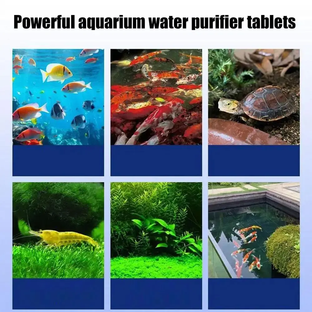 

Powerful Water Purification Tablets Odor Remover Effective Algae Repellent Agent Cleaning Cleaning Algae Tablets