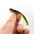 10pcs-Type A