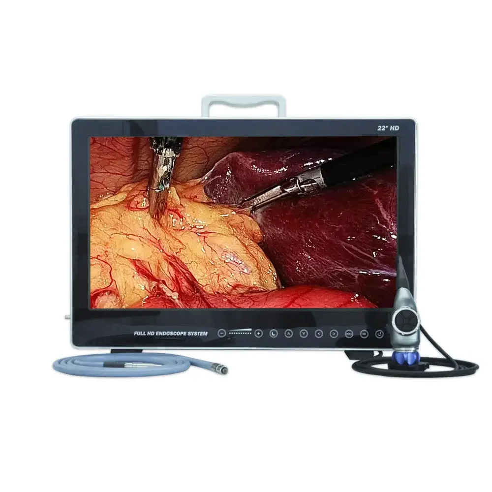 Portable 3 in 1 veterinary endoscope equipment video camera system for pet animal