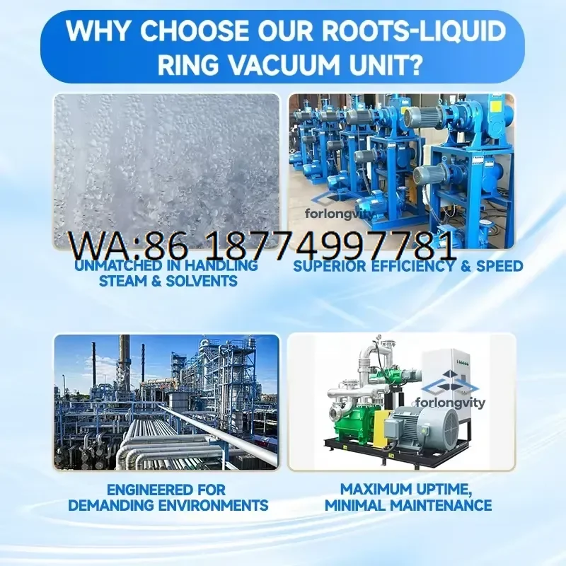 custom Forlongvity Energy Efficient Low Pressure Vacuum Package for Evaporation Condensable Gas Applications Liquid Ring
