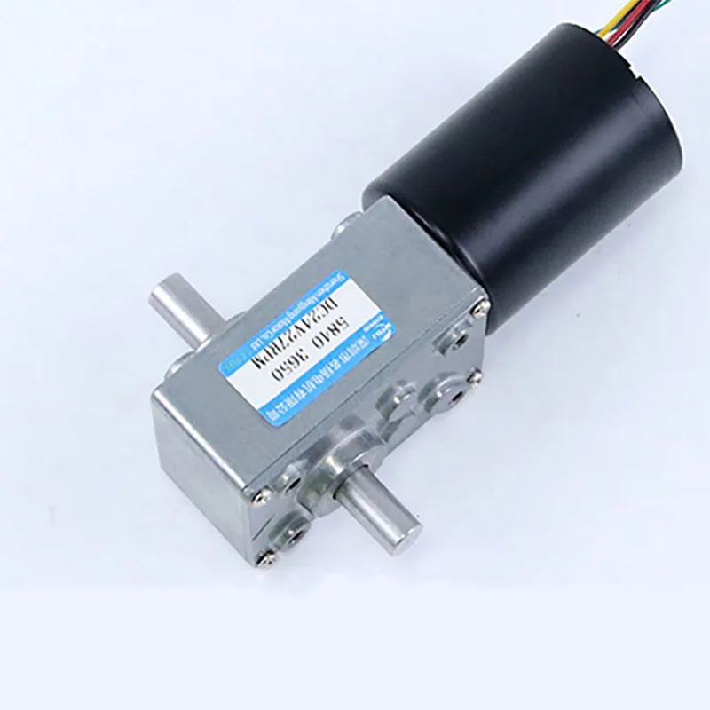 12V 24V  DC Worm Gear Motor Double Output Brushless Motor Adjustable Speed Can CW CCW Motor 5840-3650